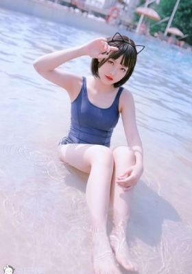 完美求婚日剧 电视剧免费观看