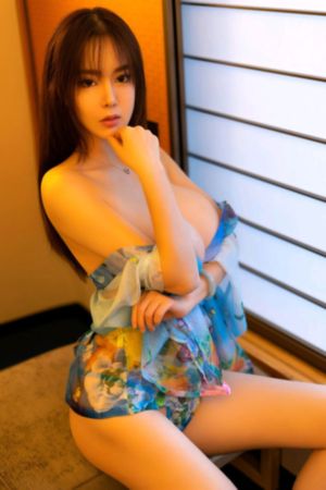 电视剧我的前半生第二部