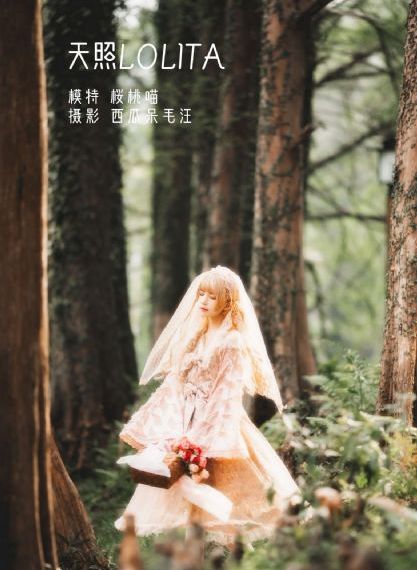 激战电视剧全集在线观看免费