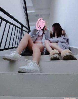 胡狼来了