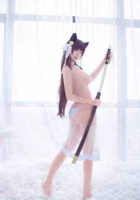 星辰视频在线电视剧免费观看