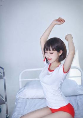 2046国语高清免费