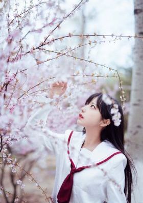 谢文东第5季免费全集剧情